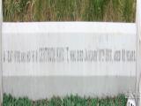 image of grave number 847751
